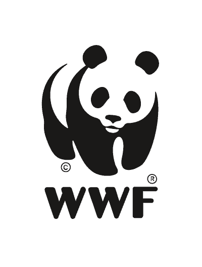 Immersium p wwf